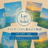 Japanese Landscape Postcard Hokkaido Summer Blue Sky Blooming Sunflower Field Souvenir Photography Yoshio Iwasawa