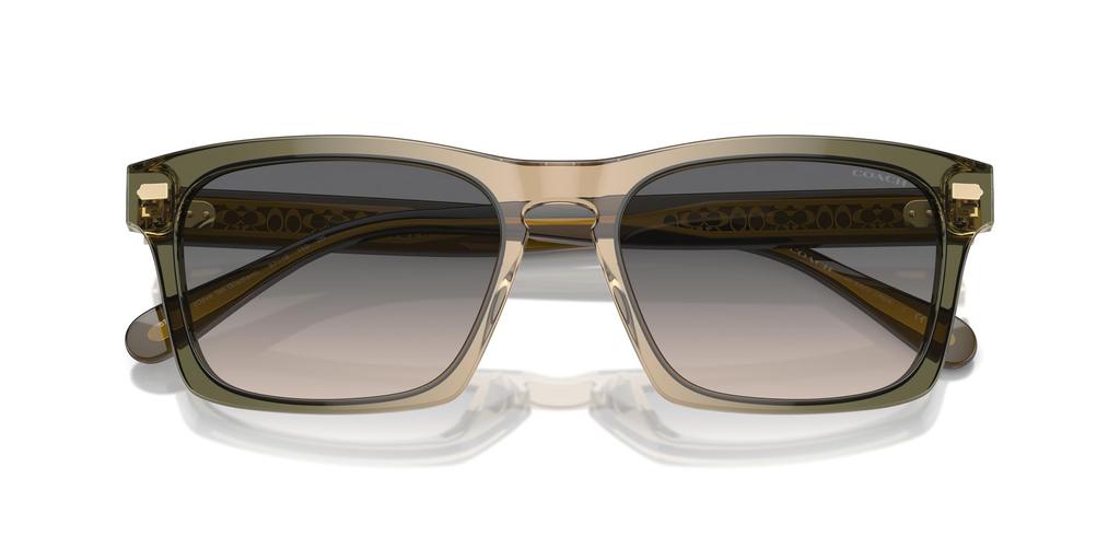 Солнцезащитные очки HC8397U CR628 ОЛИВКОВЫЙ ЗАГАР ГРАДИЕНТНЫЙ 57 [Coach] Мужские