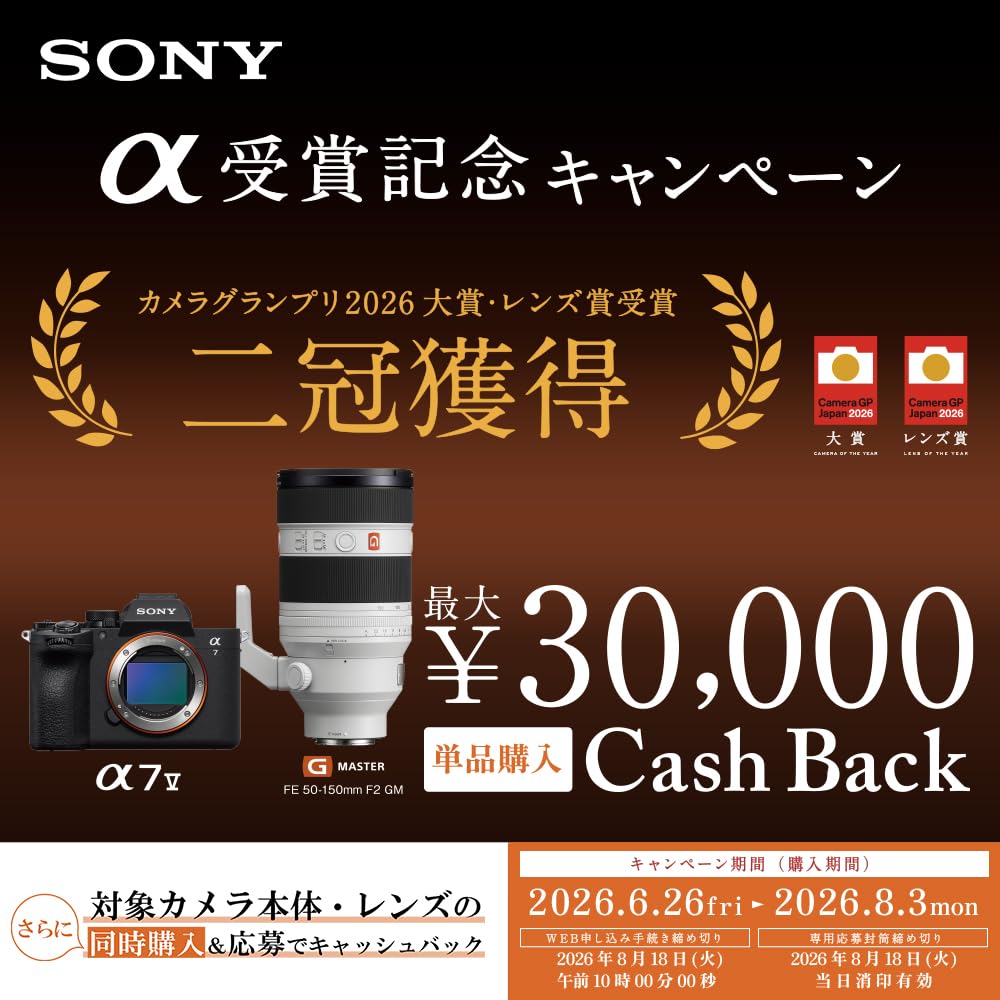 Sony Объектив с фиксированным фокусным расстоянием E 11 мм для цифровых зеркальных камер SEL11F18 (Sony) Широкоугольный APS-C F1.8 [E-mount] (оригинальная линза)