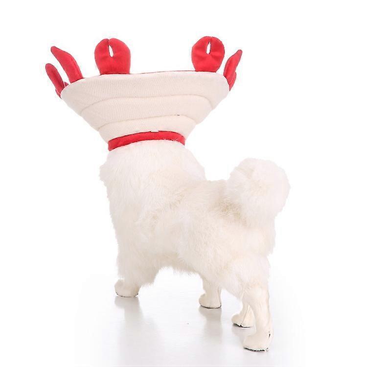 Elizabeth Collar Cat and Puppy Post Surgery Pet Collar-L,2024 Ping