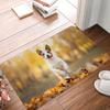 Floor Mat Entrance Door Mat Small Carpet Non-slip Door Mat Living Room Bathroom Kitchen Rug