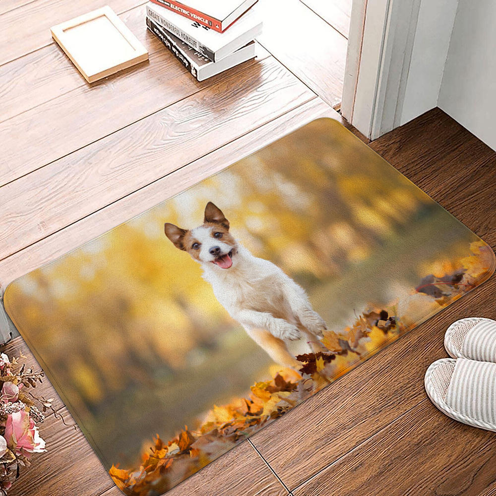 Floor Mat Entrance Door Mat Small Carpet Non-slip Door Mat Living Room Bathroom Kitchen Rug