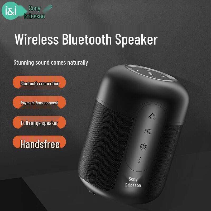 Умная портативная Bluetooth-колонка Soaiy E-30AI (Китайская версия)