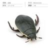 Simulation Of 16 Insects, Animal Models, Butterflies, Beetles, Spiders, Ants, Dragonflies, Cockroaches, Oxen Shields, Bugs, Static Ornaments