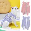 Pet Neutering Suit Colorful Striped Cat Sterilization Surgery Suit Fastener Tape Closure Dog Recovery Suit Pet Supply