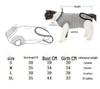 Кошачий послеоперационный костюм для стерилизации - Защита от вылизывания, отлучение от груди, одежда для восстановления после операции, 23 полоски