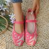 Fashion 2025 New Elegant Mary Janes Flats Shoes Women Buckle Strap Shallow Casual Ballet Shoes Ladies Spring Autumn Canvas Loafers
