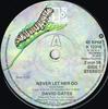 7-дюймовая пластинка DAVID GATES - Never Let Her Go K12318 Elektra 1975 UK Рок Б/У