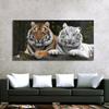 Modern Animal Wall Painting Prints On Canvas Wall Art Siberian Tigers Picture for Living Room Home Decorative Posters No Frame
