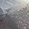 Vigorous Pink Butterfly Gradient Petal Flower Shiny Stars 5D Soft Self Adhesive Nail Art Decoration Sticker Manicure Decal DIY