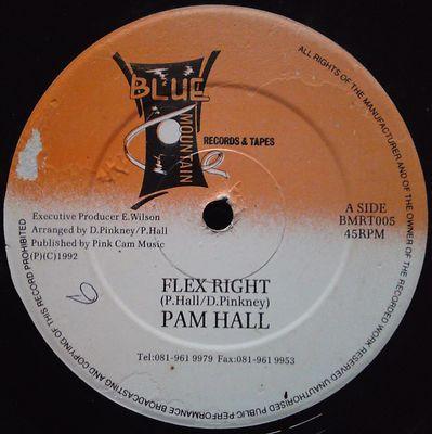 12-дюймовая пластинка ПЭМ ХОЛЛ - Flex Right BMRT005 Blue Mountain R 1992 UK Регги, Ска и Даб Б/У