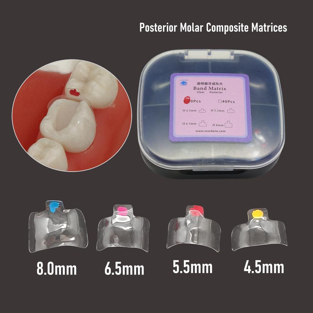 10 Pcs/ 20pcs/ 40 Pcs Dental Clear Matrix Bands Transparent Matrices Posterior Molar Composite Class Restorative 4.5/5.5/6.5/8.0 Fits Bioclear
