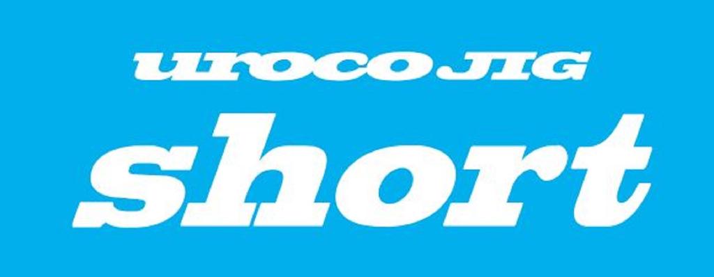 Uroco Metal Jig Uroco Short 240 Grams Hiroto 247 (7181)