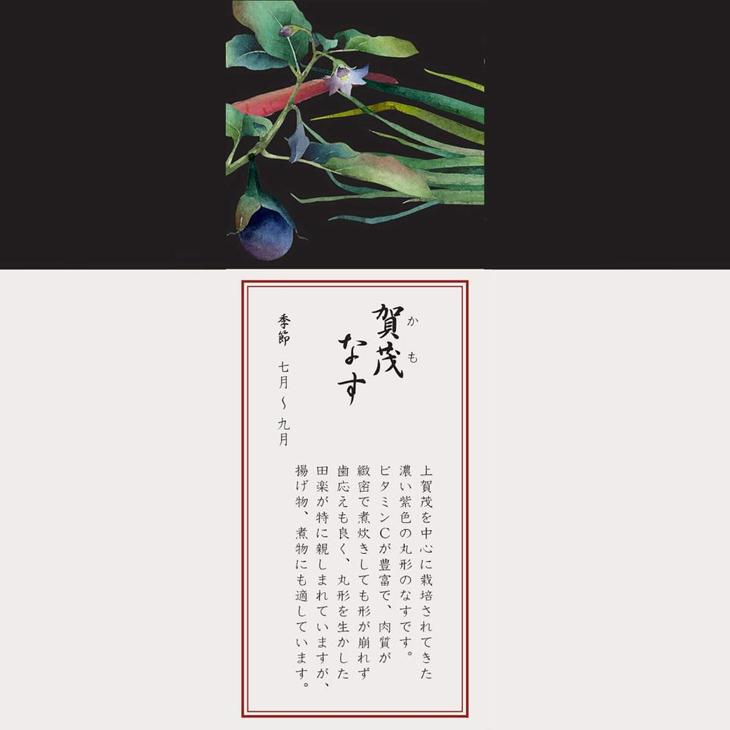 Noritake Bowls (Set of 5) 11cm, 345cc, Kyoka Shunsai Design, Microwave and Dishwasher Safe, Fine Porcelain, F94502/1620-37