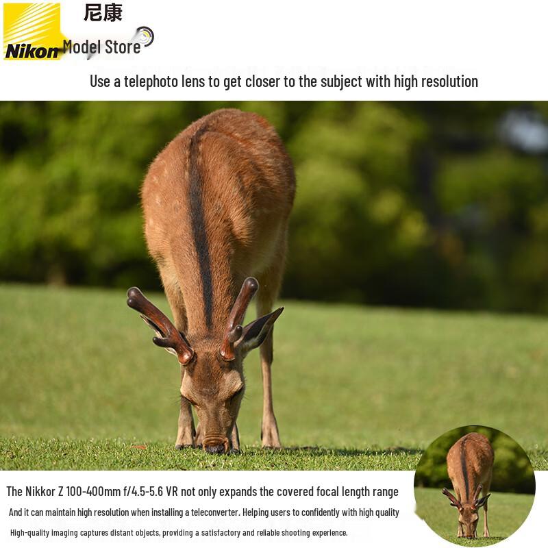 Nikon NIKKOR Z 100-400mm f/4.5-5.6 VR S Lens