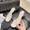 High-heeled Transparent Sandals Women's Summer 2025 New Fashion Medium-heeled Thick-heeled Slippers