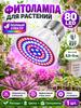 Phyto Lamp