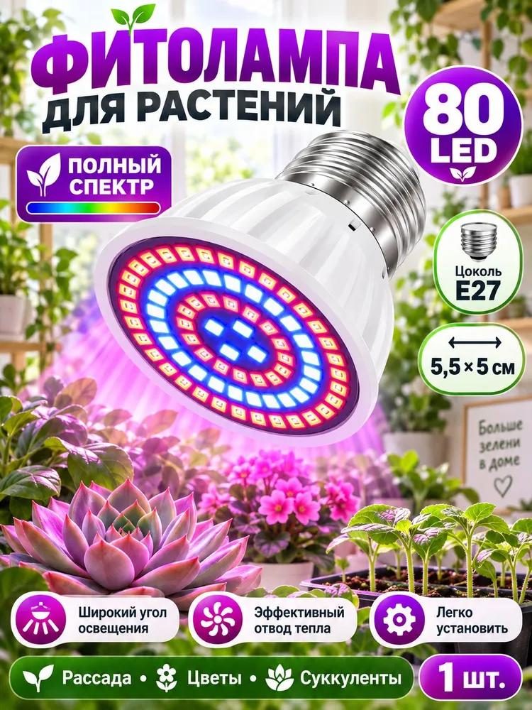 Phyto Lamp