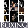 Boxing Shorts 3D Print Training Eagle Falcon Hawk USA America Unisex Men Women Quick Dry Fitness Gym Sport Workout Casual Streetwear