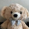 [USED] Afternoon Tea Teddy Bear