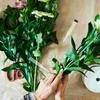 50 Pcs Flower Storage Tube Water Hose Floral Vials Roses Single Plastic Tubes For Flowers Toddler Arranging Supplies