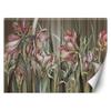 Wallpaper Amaryllis Flowers