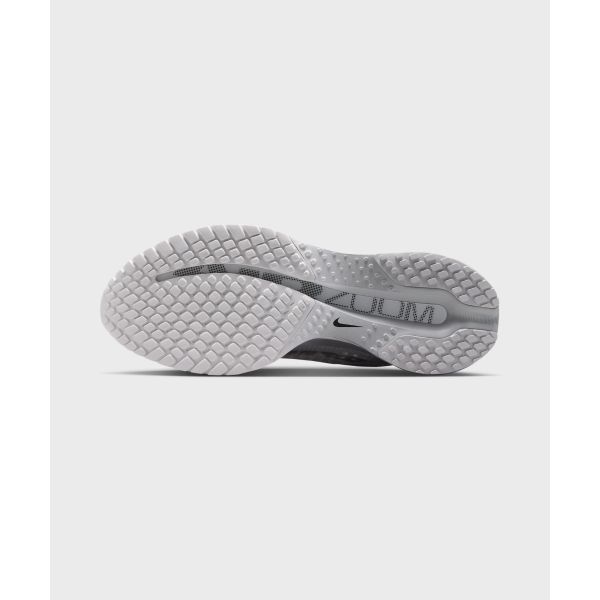 Nike Женские кроссовки Pegasus Premium Summit White Grey Fog Metallic Silver IR0836-100