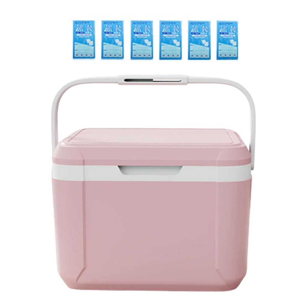Холодильник с пакетами для льда, контейнер для хранения напитков объемом 5 л, автомобильный холодильник для путешествий, пляжа, барбекю, улицы