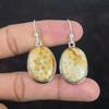 Fossil Coral Earring Natural Gemstone Jewelry 925 Sterling Silver Earring Brand New Earring Amazing Jewelry Handmade Earring Gifts For Women