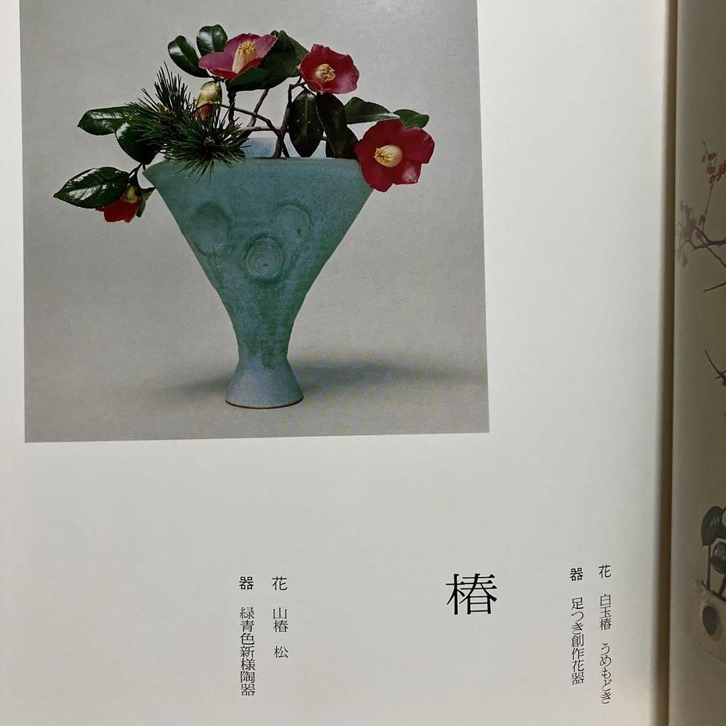 [Б/У] Ryuseiha Цветы Весны Фотоколлекция