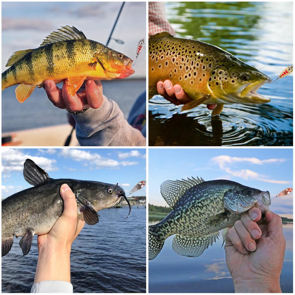 Блесна форель горный ручей приманка набор блесен 2г 3г 5г цинковый сплав лезвие рыболовный набор из 24 предметов 2.5