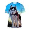 Siberian Husky Animal Printed Men T-shirts Fashion Casual Harajuku Fun Trend Personality Short Sleeve Tees