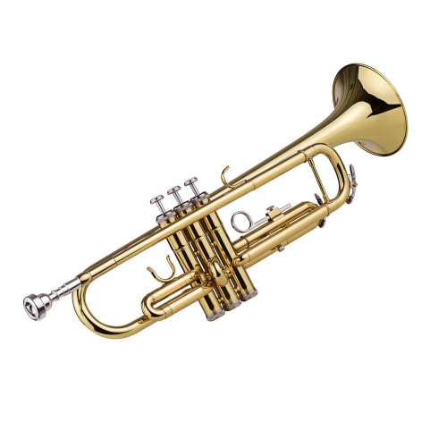 Summina Trumpet Bb Flat Brass Trompetus Instrument with Mouthpiece Glove for Standard Students, Beginners, and Teachers