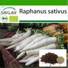 Органический - Редис - Mooli Minowase - 100 семян - С горшечным субстратом для лучшего выращивания - Raphanus sativus