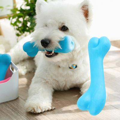 Игрушка для жевания собак в форме кости, антиукусная игрушка TPR для обучения жеванию щенков домашних животных