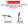 6/10Pcs/Box Biomimetic Wet Fly Flies Fishing Flies Artificial Insect Hook Bait Mosquito&Nymph Fly Fishing Trout Lures