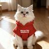 Толстовка с капюшоном и подкладкой из велюра с рисунком котенка для осени/зимы - Не линяет
