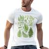 Fern Chart Study TShirt Large Size Basic Casual TShirt