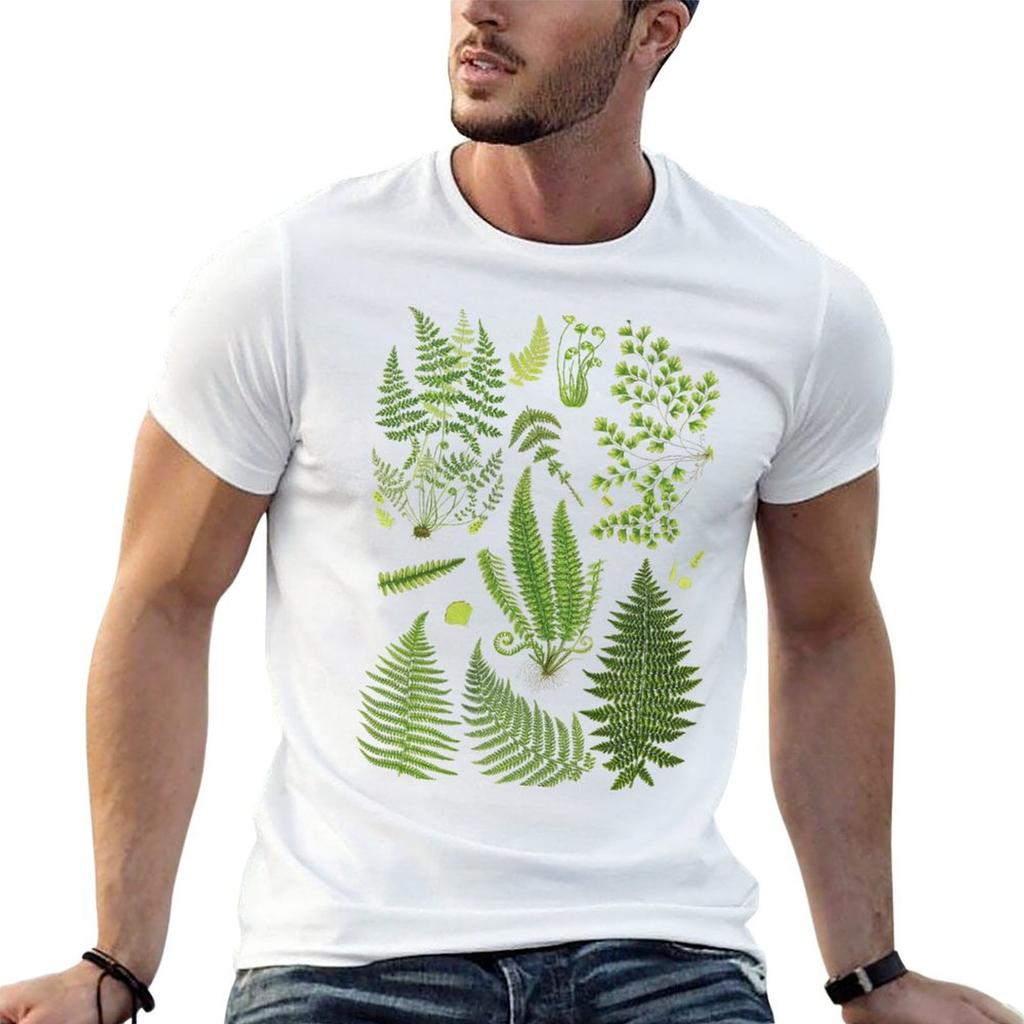 Fern Chart Study TShirt Large Size Basic Casual TShirt