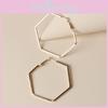 Hexagon Geometric Contemporary Ear Rings With Electroplated Gold For Women