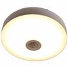 LED Mini Ceiling Light Ceiling Light (With Motion Sensor) Incandescent Bulb 40W Equivalent Bulb Color No Construction Required MLC-S045L