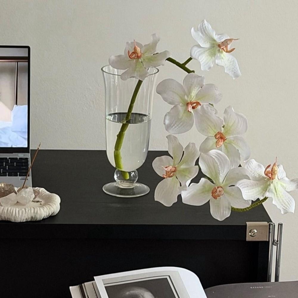High Temperature Resistant Glass Flower Vase Transparent Decorative Bottles Home Decor