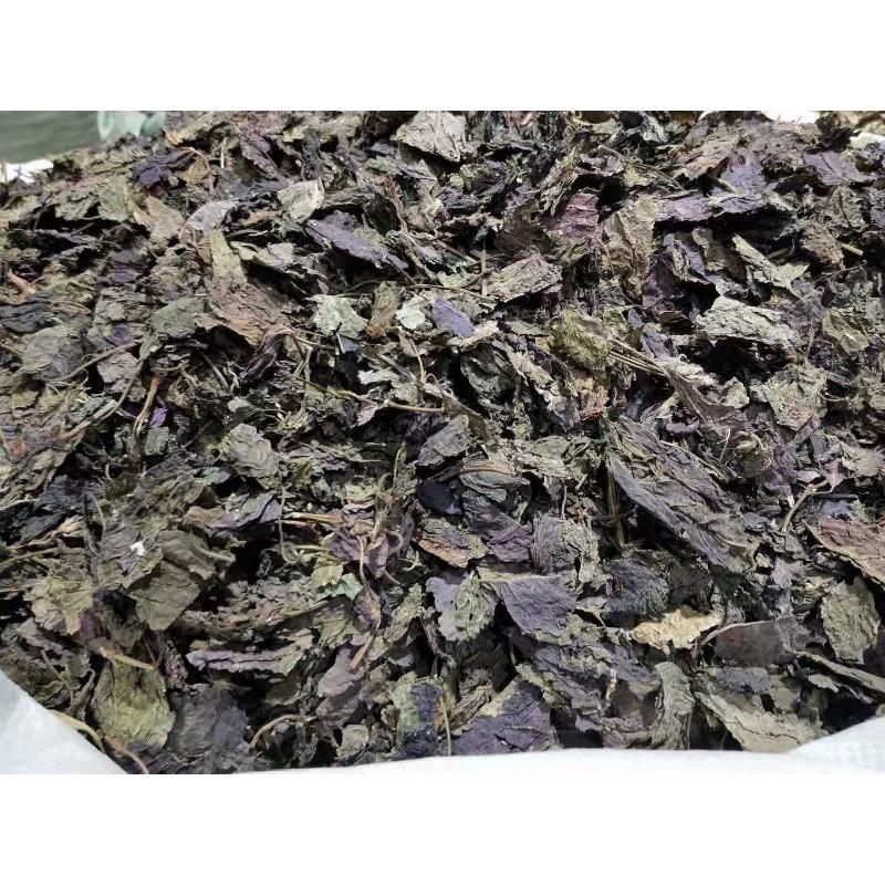 Perilla Leaf Herbal Medicine Perilla Leaf Perilla Leaf Perilla 500g/1.1lb