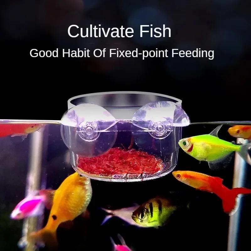 Аквариумный декоративный стаканчик для растений с держателем-присоской, инструмент для кормления аквариумных рыб, стаканчик для водных растений, инструмент для посадки растений в горшках