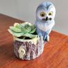 Stylish Owl Planter Elegant Resin Flower Pot For Contemporary Home Dcor