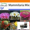 Garden in the Bag - Mammillaire Mix - 40 семян - С субстратом в подходящем стоячем пакете - Mammilaria Mix