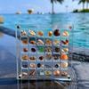 Plastic Magnetic Seashell Display Box Mini Seashell Collection Case New Seashell Storage Box