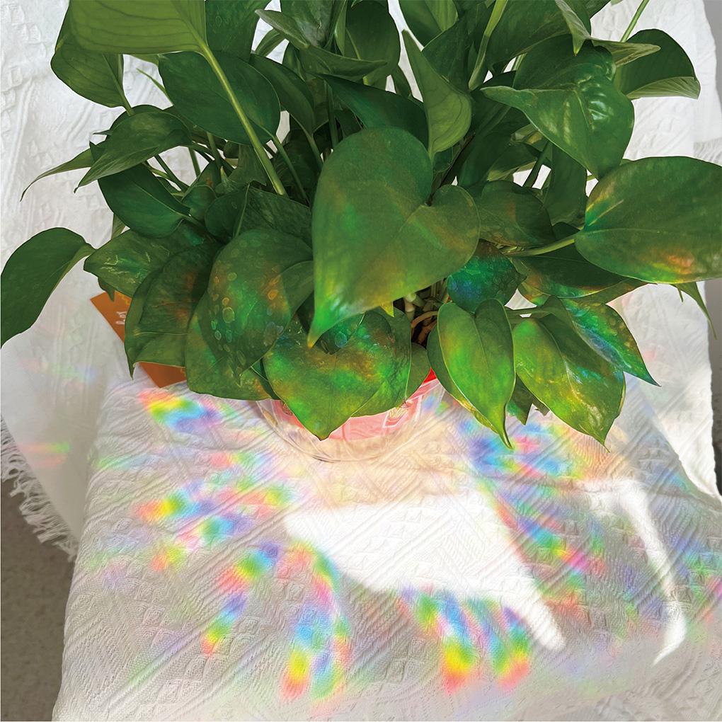 Наклейка на окно Радуга многоразовая в форме статического удара против столкновений стеклянная наклейка для спальни ловец солнца для домашнего декора