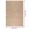 VidaXL Rug 140x200 Cm Jute Look Indoor and Outdoor, Outdoor Rug, Floor Rug, Indoor Rug 364840