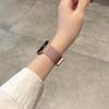 Совместимый ремешок для Apple Watch 11, iWatch 10987E, с магнитной застежкой «Колос пшеницы» для Huawei FIT4 и Xiaomi 9 Pro.